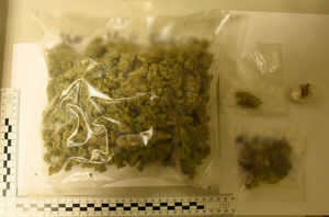 Zabezpieczone narkotyki