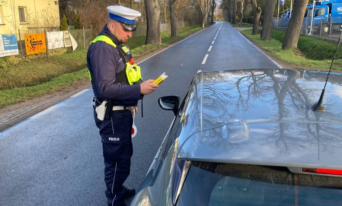 Funkcjonariusze podczas kontroli