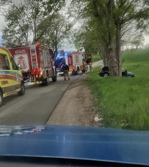 Miejsce zdarzenia drogowego, na zdjęciu widoczny jest Zespół Ratownictwa Medycznego oraz Państwowa Straż Pożarna