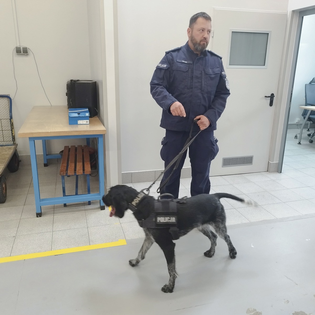 Policjant z psem służbowym w trakcie szkolenia