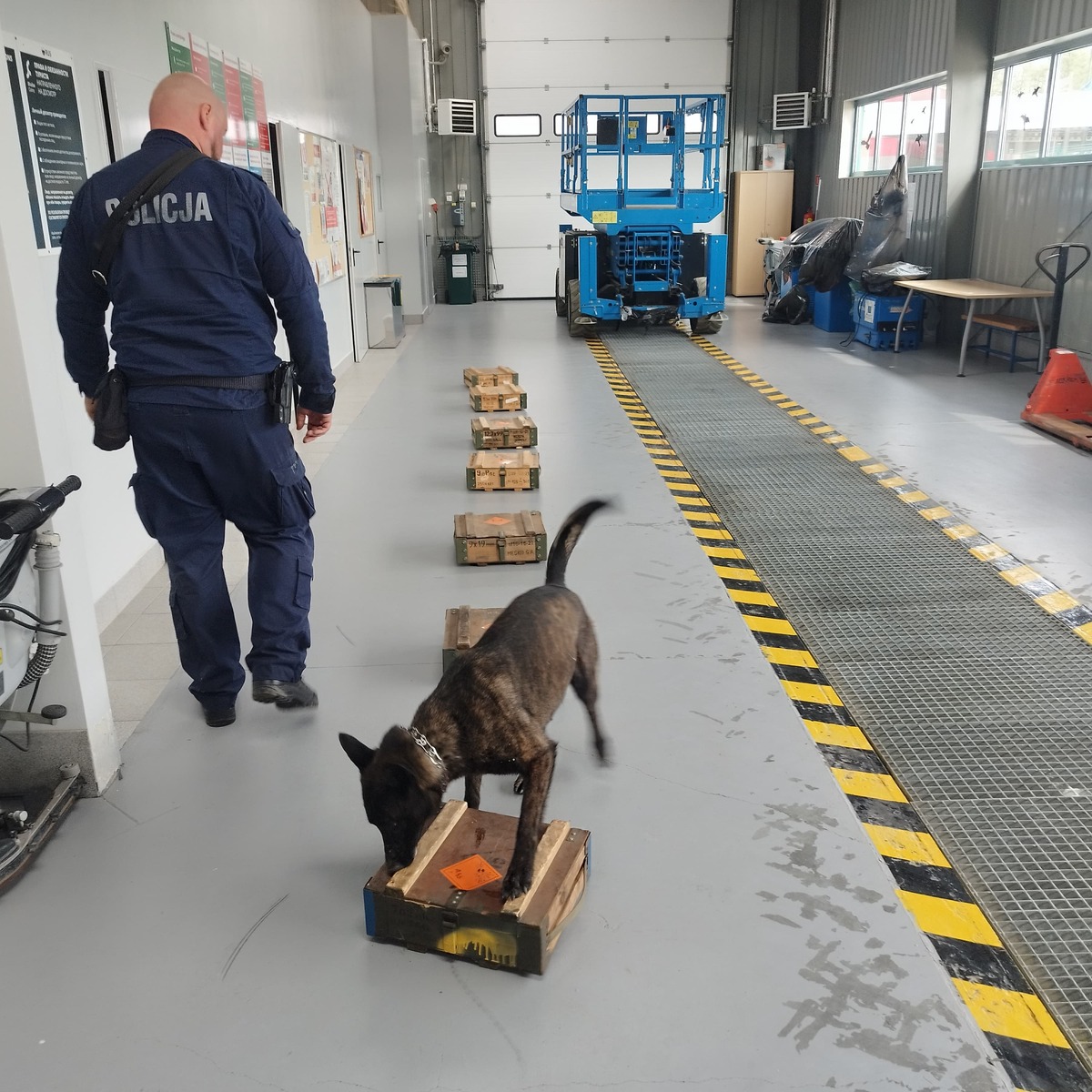 Policjant z psem służbowym w trakcie szkolenia