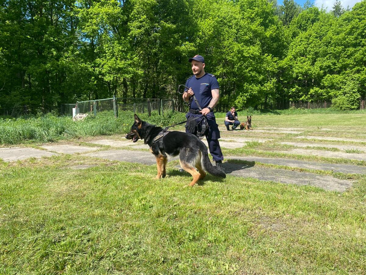 Policjant z psem służbowym podczas szkolenia