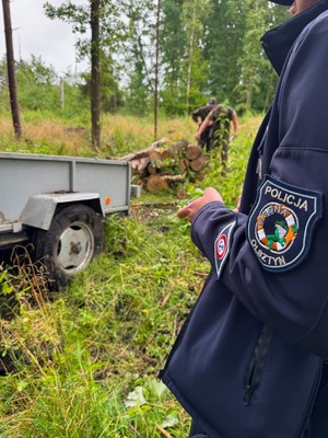 Służby w lesie i mężczyźni, którzy ukradli drewno