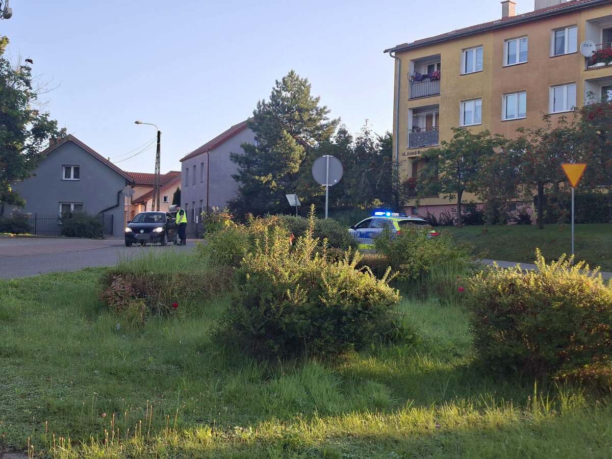 Policyjna kontrola