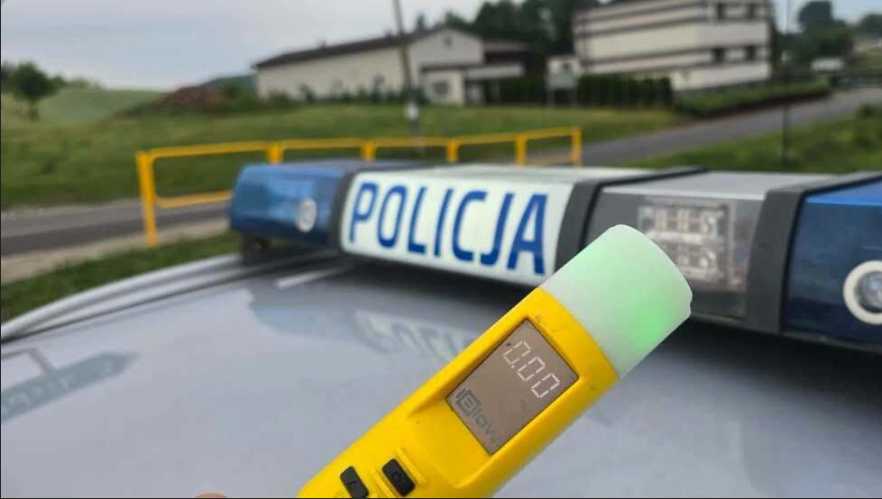 policjanci pracujący na drodze