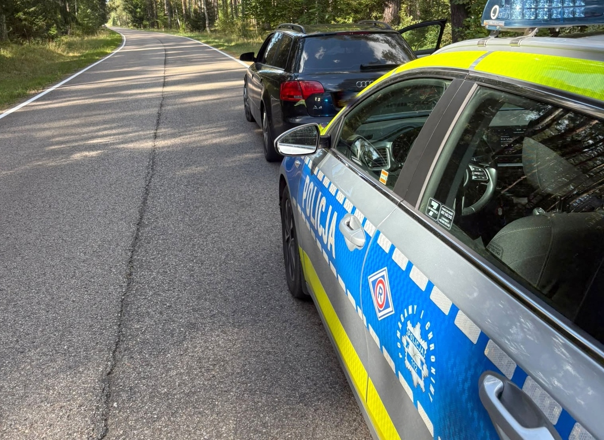 Policyjna kontrola