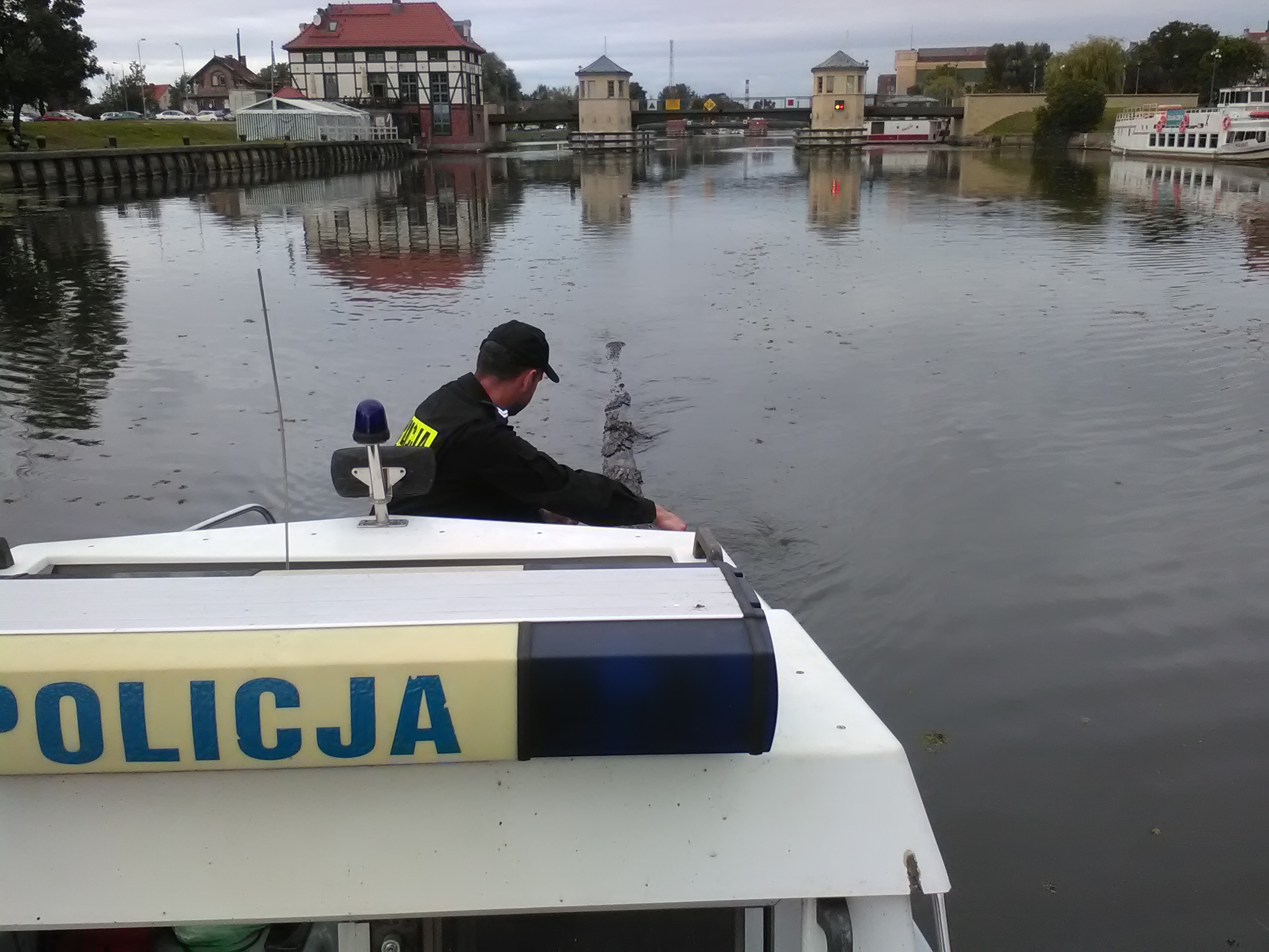 Kłoda w rzece Elbląg