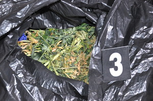 Zabezpieczona marihuana