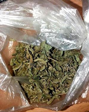 zabezpieczone narkotyki