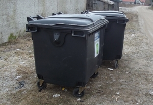 Kontener, do którego wrzucono szczeniaki