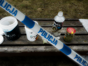 Zabezpieczone środki odurzające